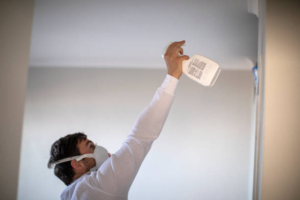 Best Mold Testing  in Leslie, MI