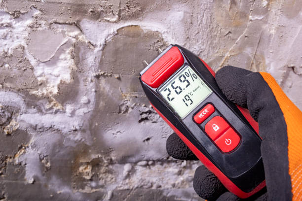 Mold Removal and Inspection in Leslie, MI