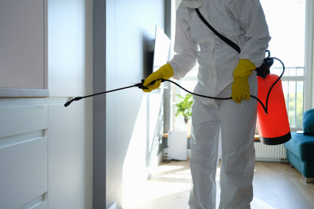 Best Mold Removal Company Near Me  in Leslie, MI