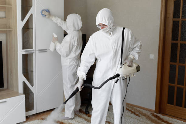 Best Toxic Mold Removal  in Leslie, MI