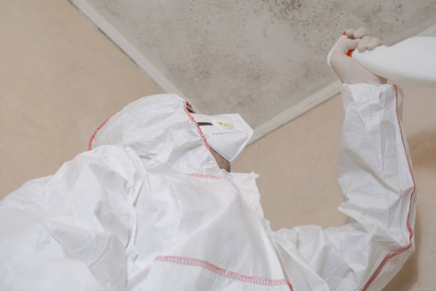 Best Water Damage Restoration  in Leslie, MI
