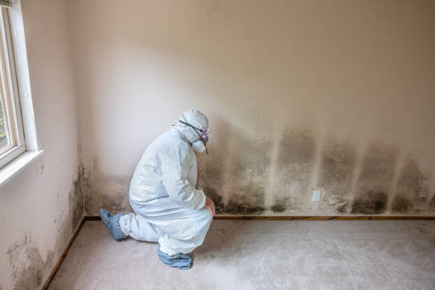 Best Crawl Space Mold Removal  in Leslie, MI