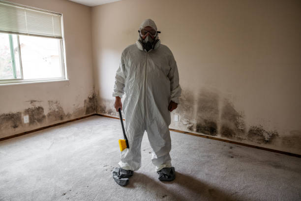 Best Mold Damage Repair  in Leslie, MI